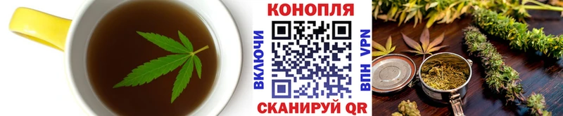 магазин    Магадан  Canna-Cookies конопля 