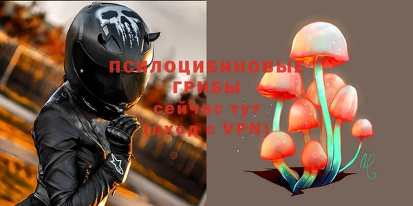 скорость Бородино