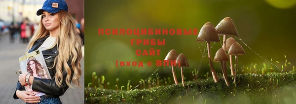 скорость Бородино