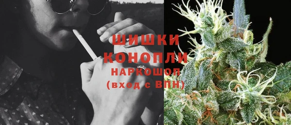дживик Богданович