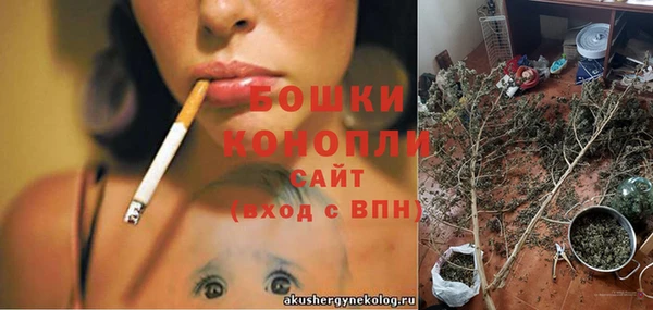 spice Бугульма