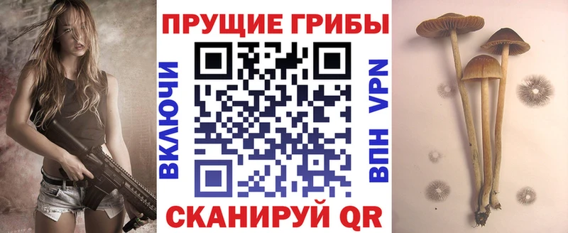 Псилоцибиновые грибы мицелий Магадан
