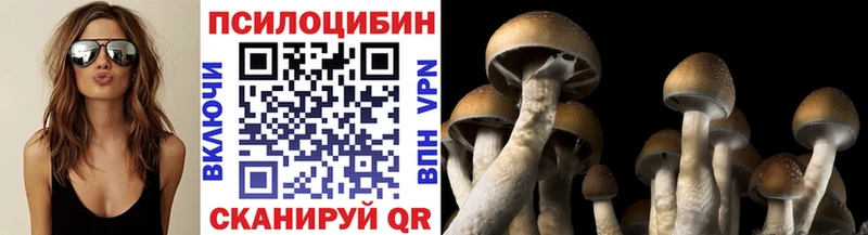 Галлюциногенные грибы Magic Shrooms  мега ссылка  Магадан 